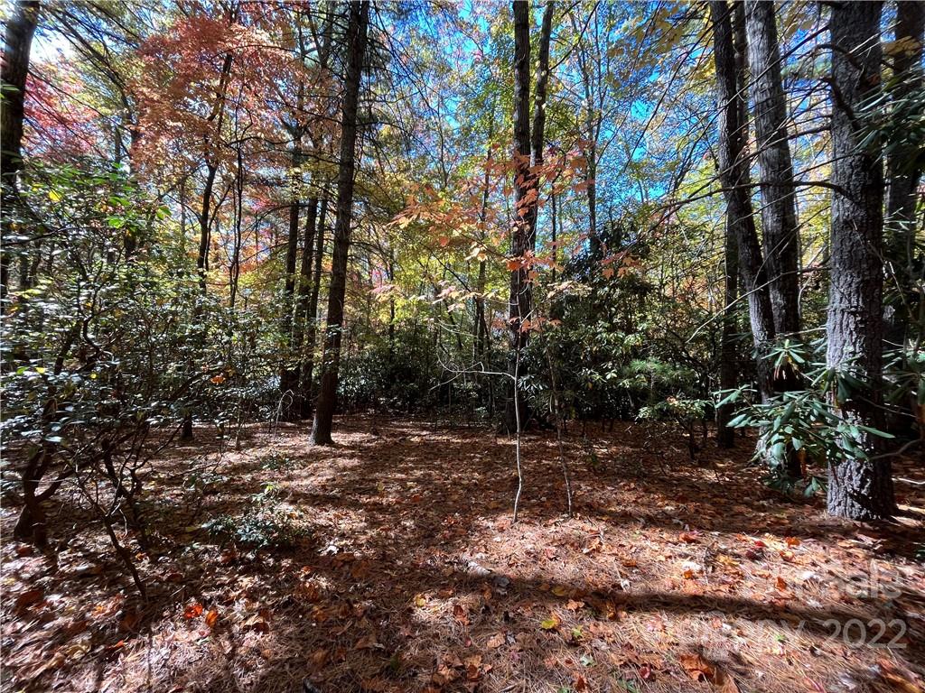 Tbd Hemlock Ridge Trail 1