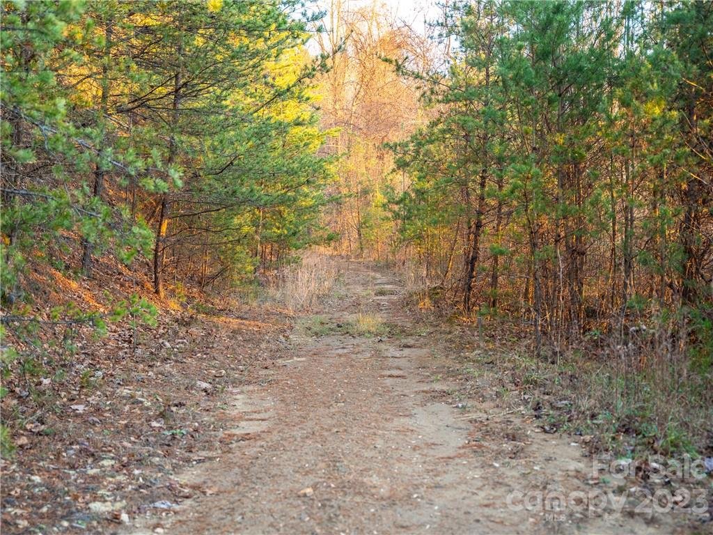 717 Hunters Ridge Road