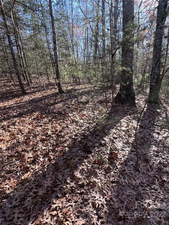 000 Twin Maple Way 5