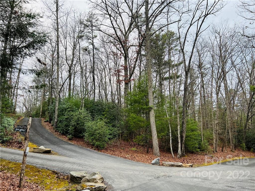 151 Nancy Ashworth Lane