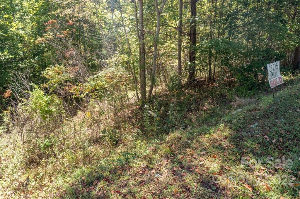 00 Rock Ledge Drive 305