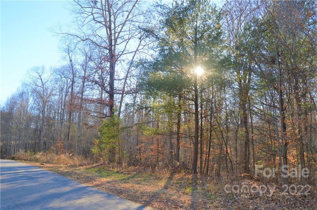 163 Forest Creek Drive