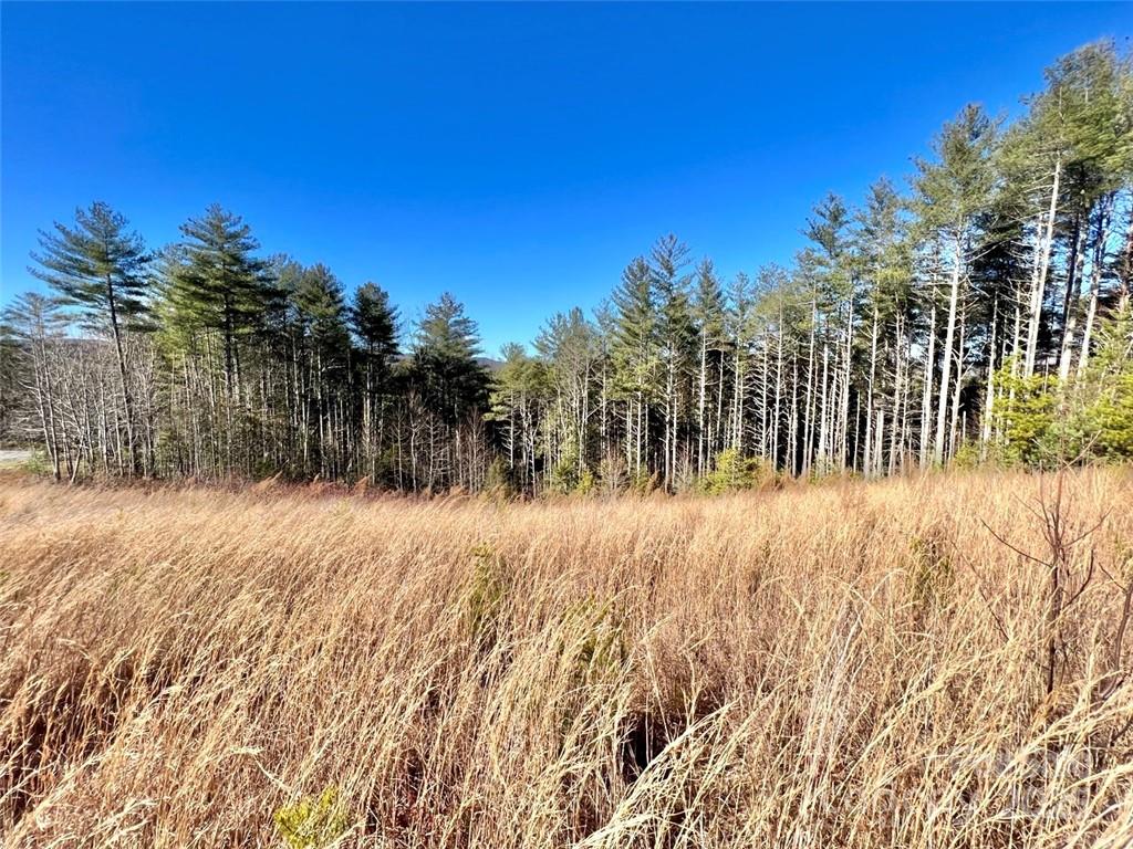 1 85 Acres Lot 154 Rocky Falls Lane