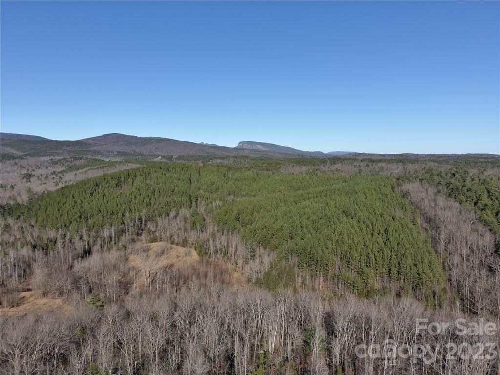 V L 54 Bear Cliff Circle