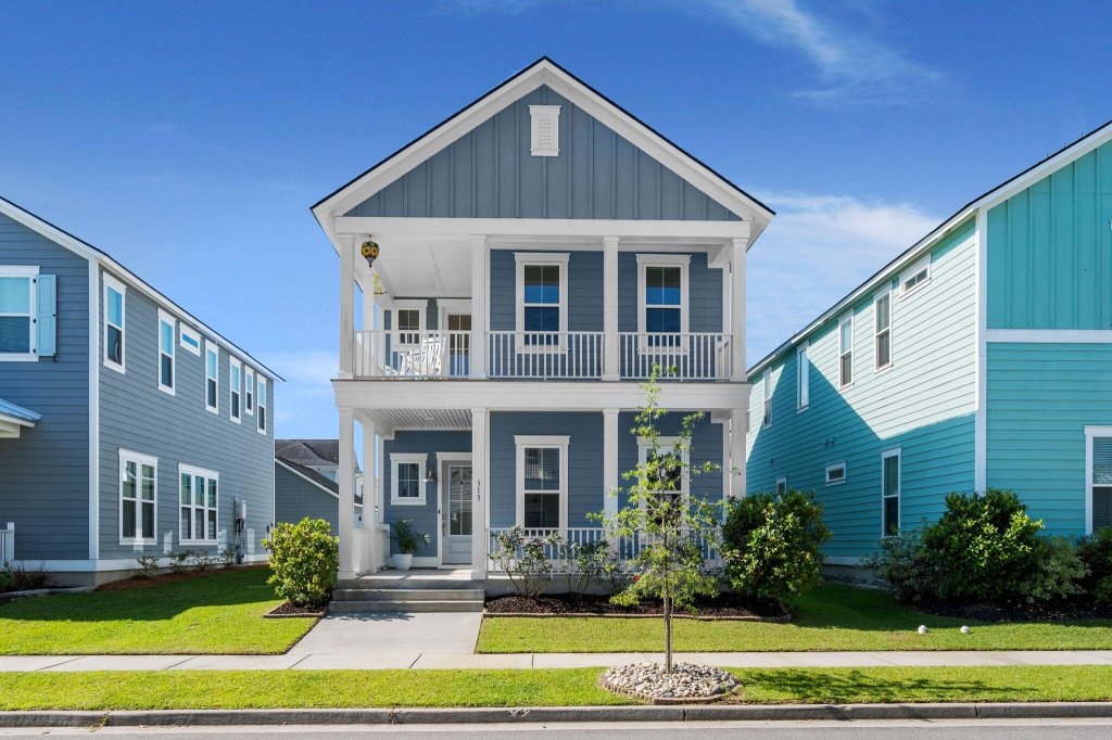 313 Cypress Knee