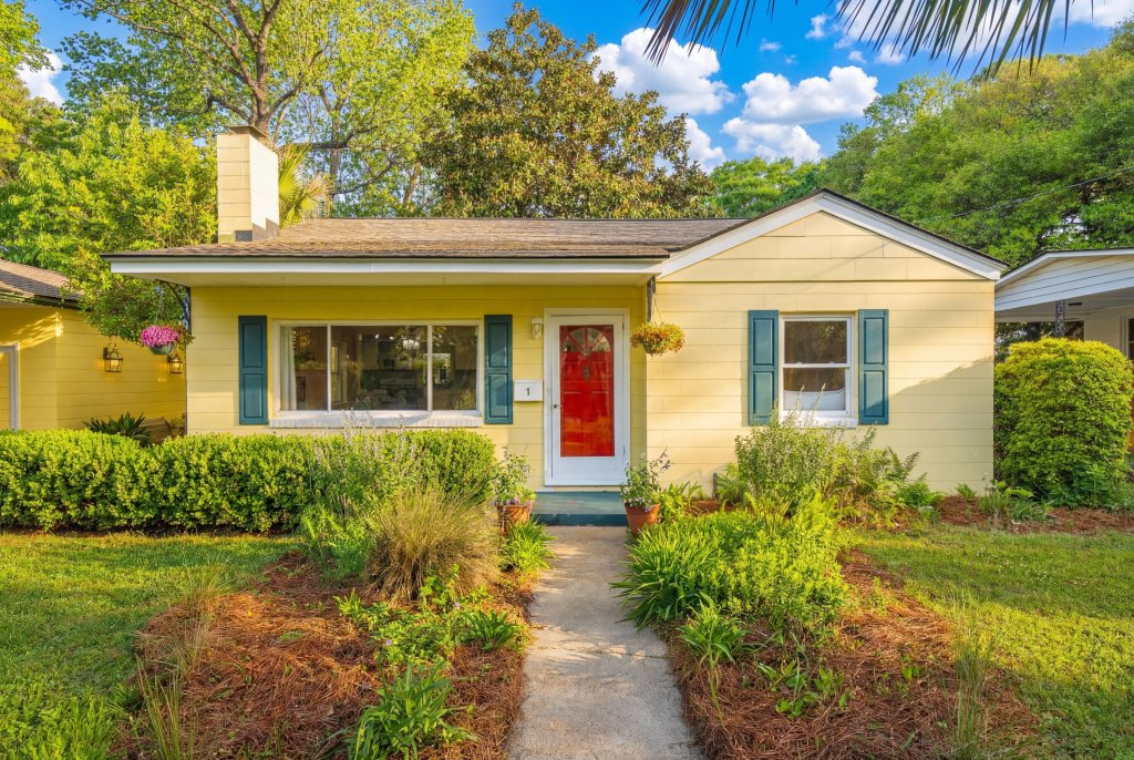 Avondale, Charleston community