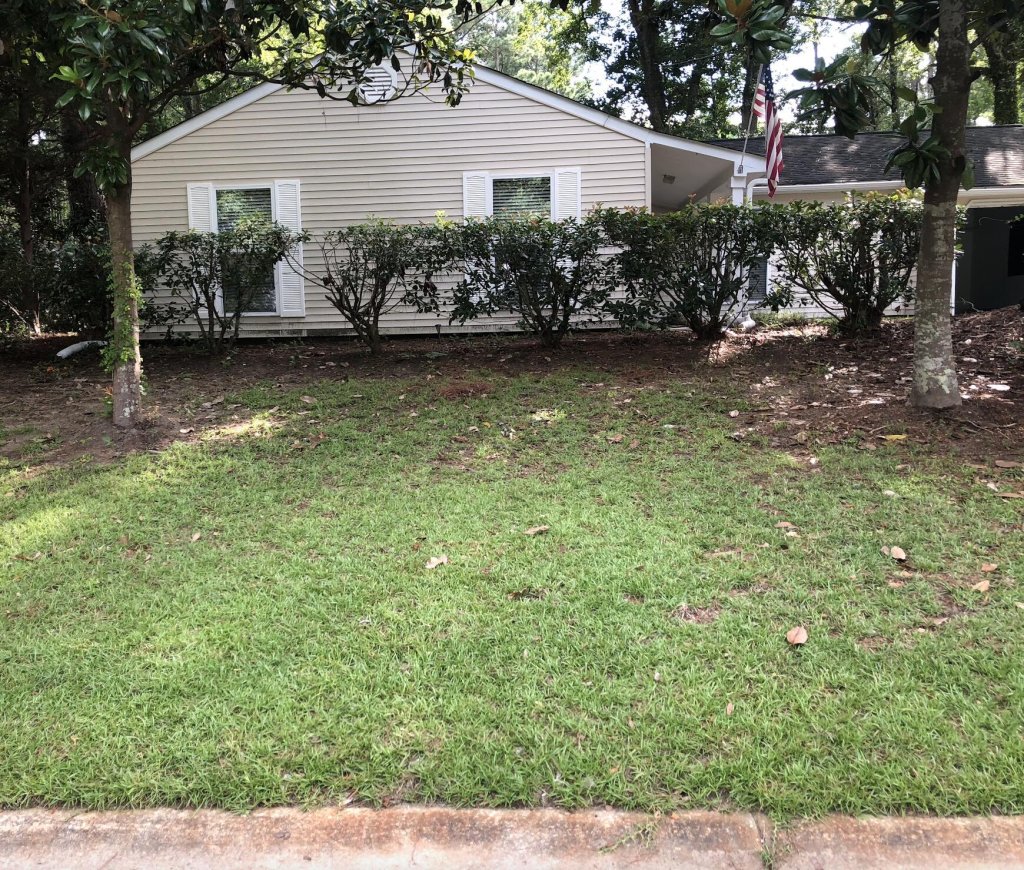 Wando East, Mount Pleasant community