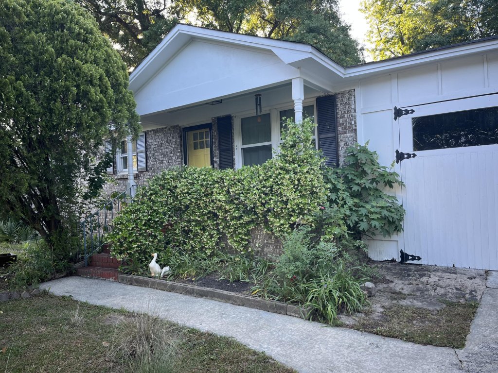 Sherwood Forest, Charleston community