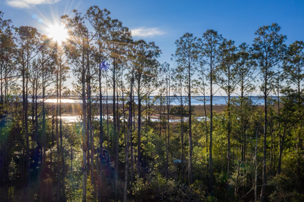 Liberty Hill Farm, Mount Pleasant community