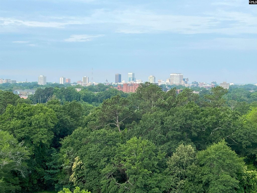 1825 St. Julian Place 15-E