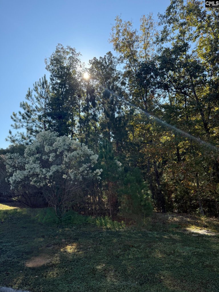 761 Carolina Aster Drive