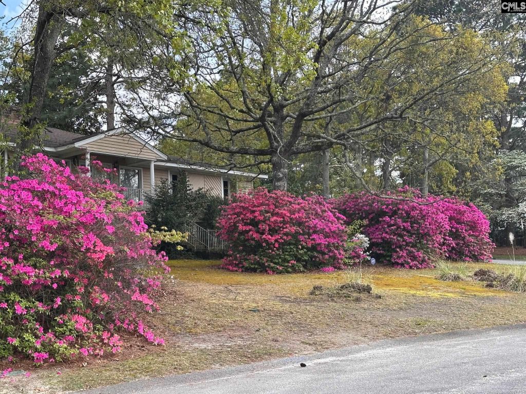 North Springs, Columbia community