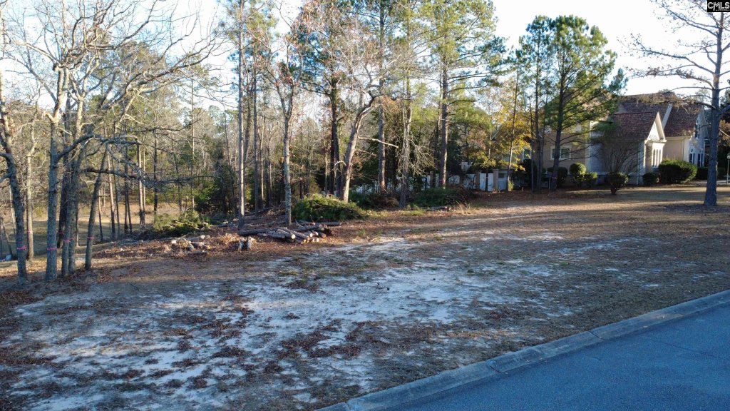 208 Crickentree Drive