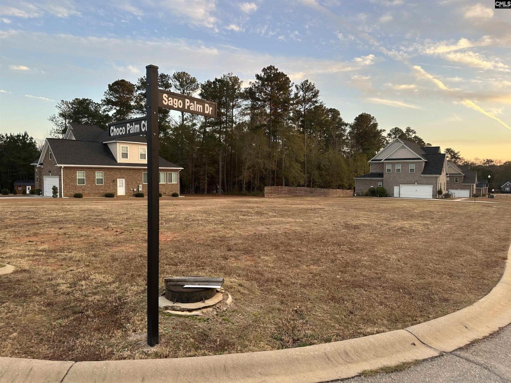 The Palms, Orangeburg community