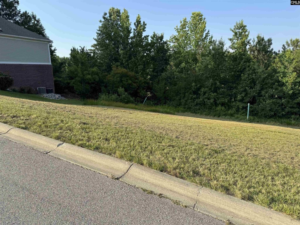 Longcreek The Greens, Blythewood community