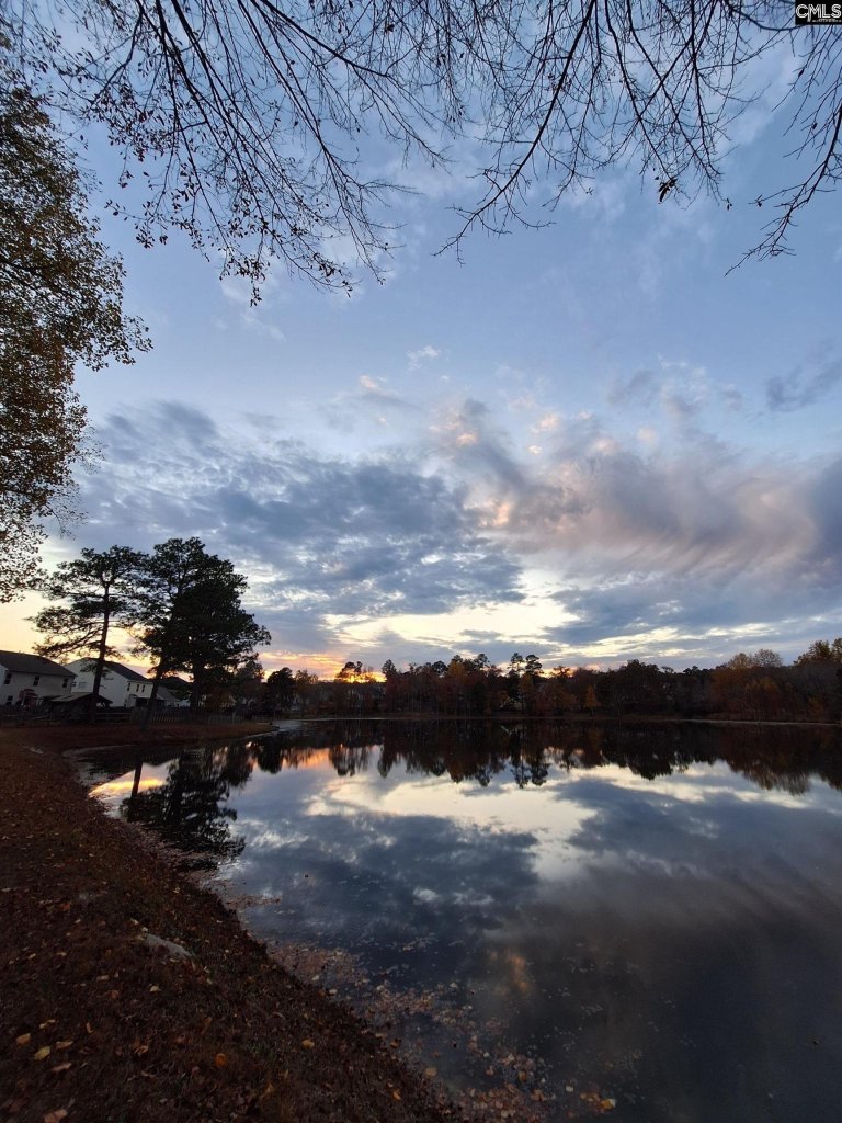 405 Magnolia Tree Road