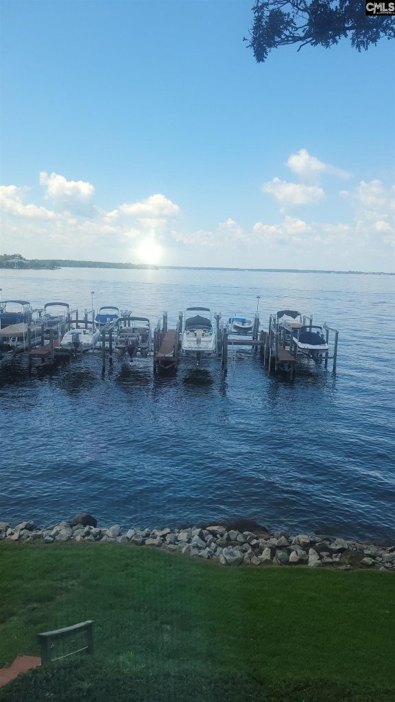 Spence'S Point, Lexington community