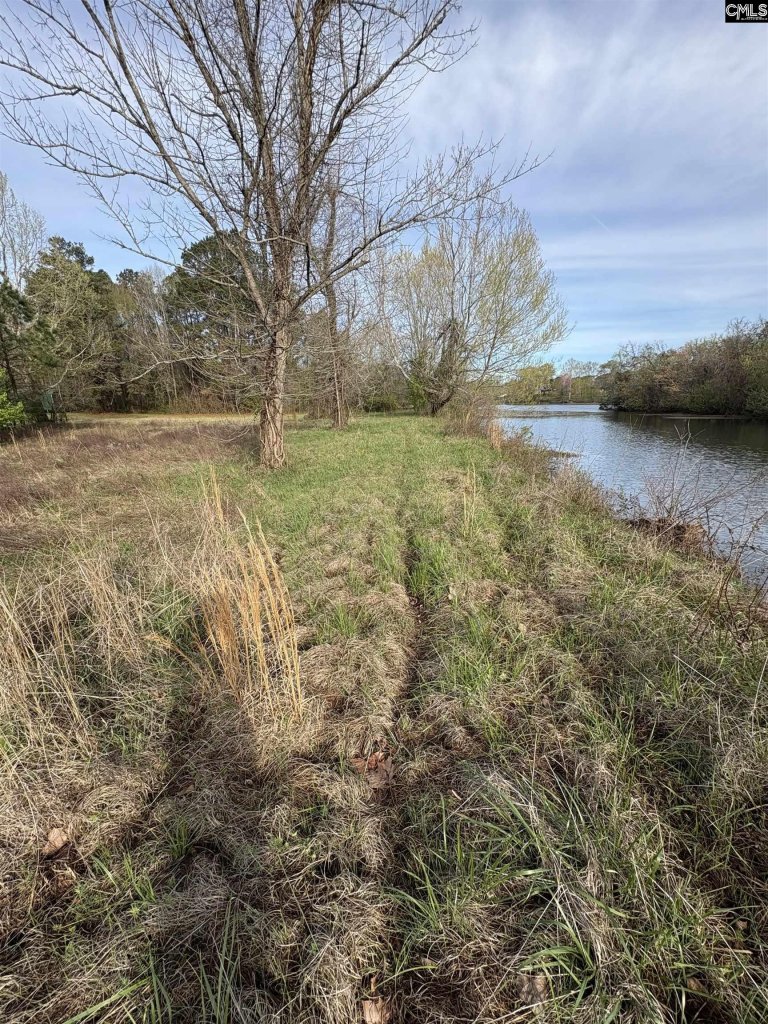 194 Wild Turkey Lane