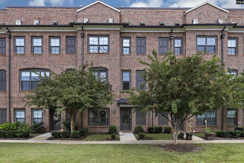 Townpark At Bull Street, Columbia community