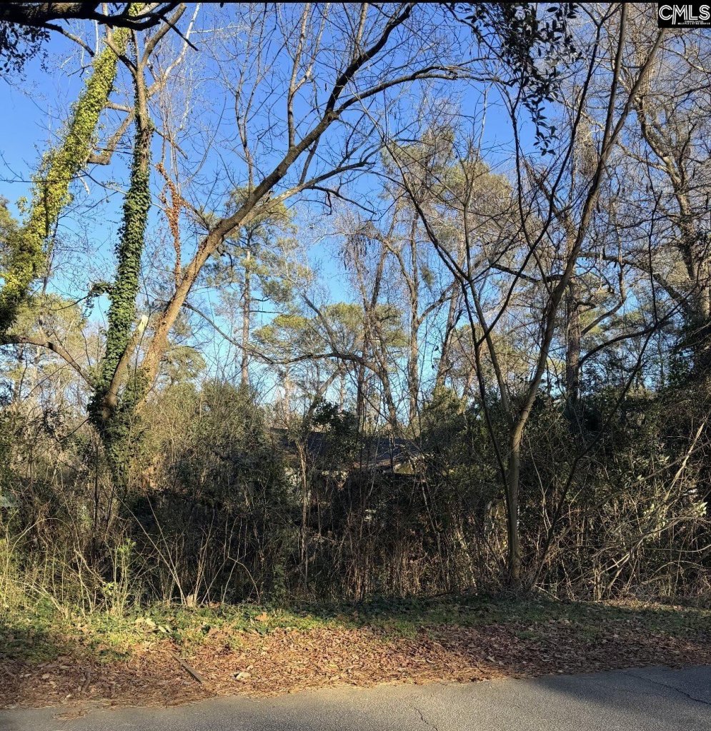 1522 Jerome Drive