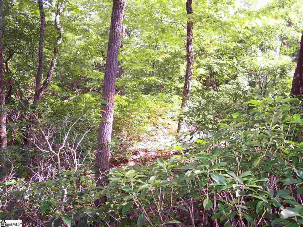 Lot 5 Woods Pond Court