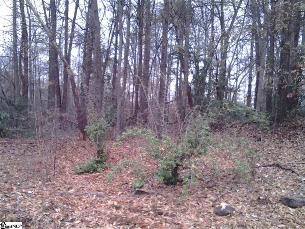 1025 Old Dacusville Road