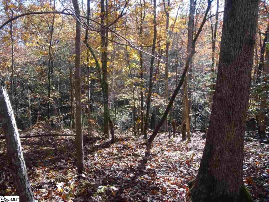408 Doe Run