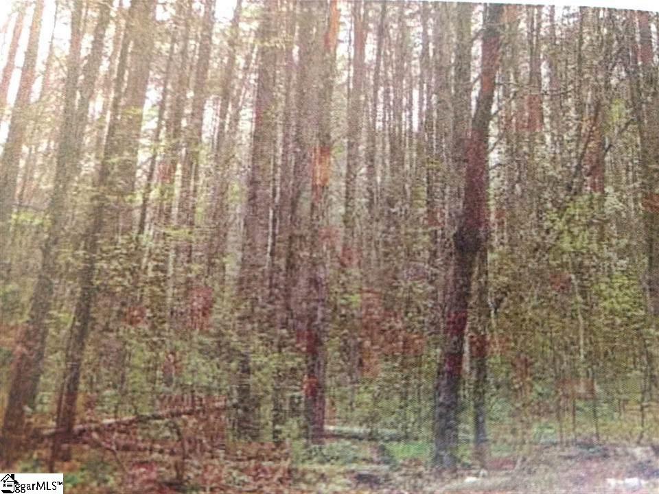 35 Goodwin Bridge Road Lot 6