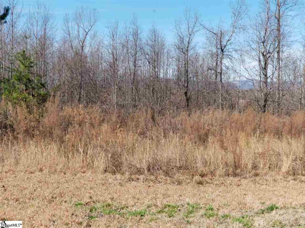 931 Old Dacusville Road