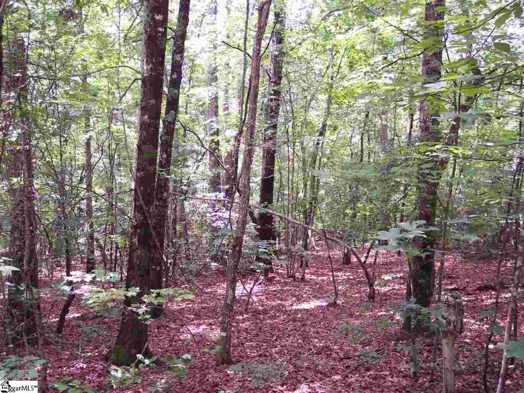 00 Shepherd Springs Drive Lot 12B Shepherd Springs
