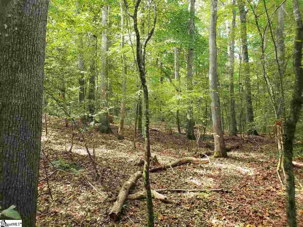 879 Dunklin Bridge Road