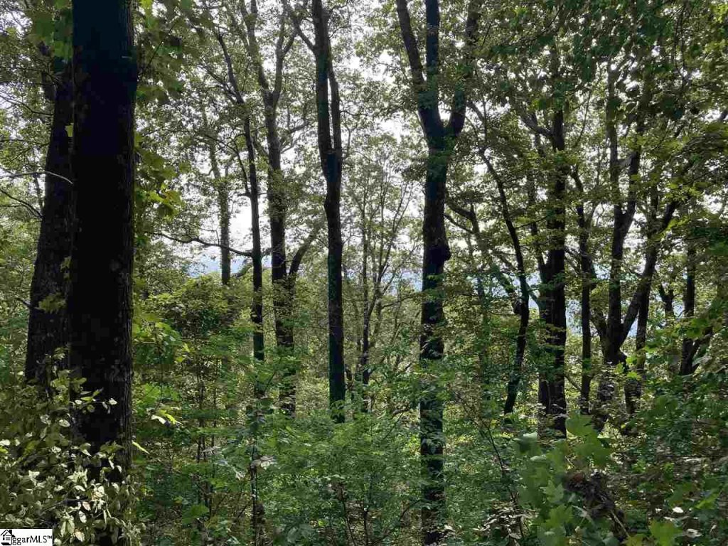 Boulder Lookout Drive Lot 151