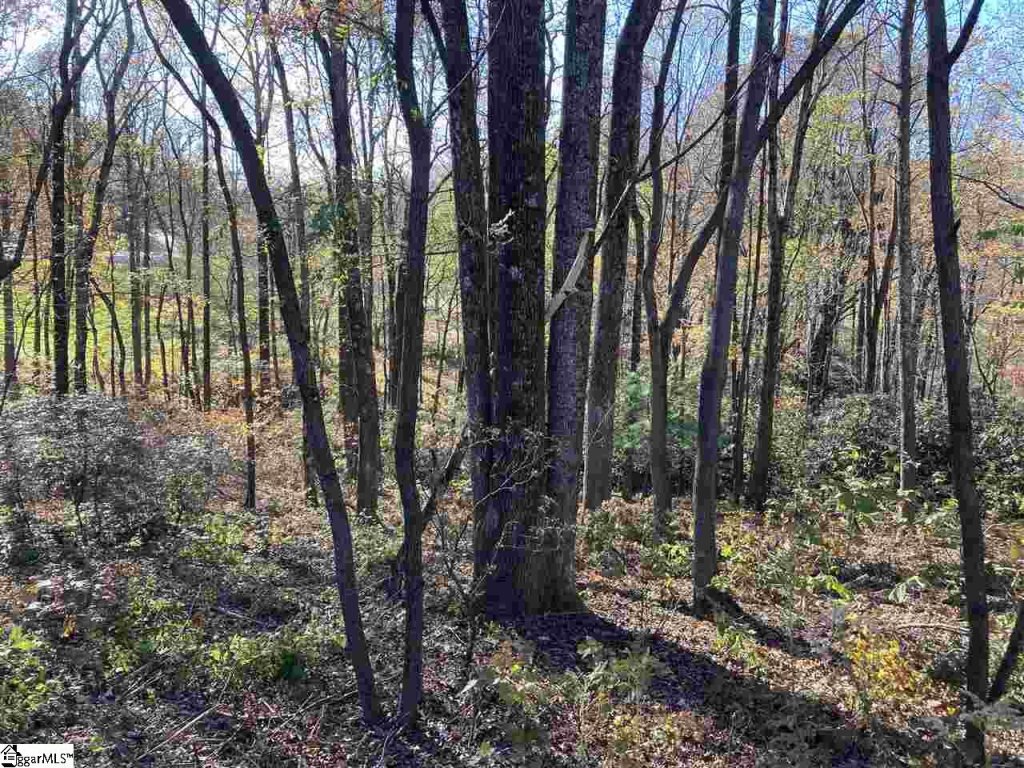 The Cliffs Parkway Lot 33B