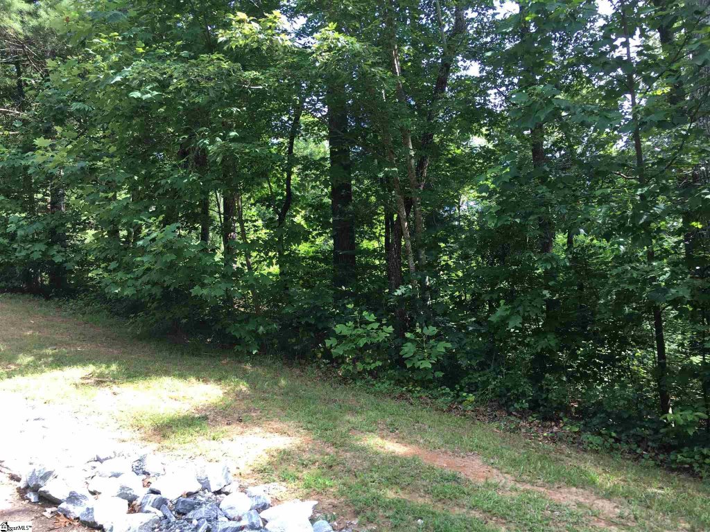 119 Oolenoy Court Lot 42
