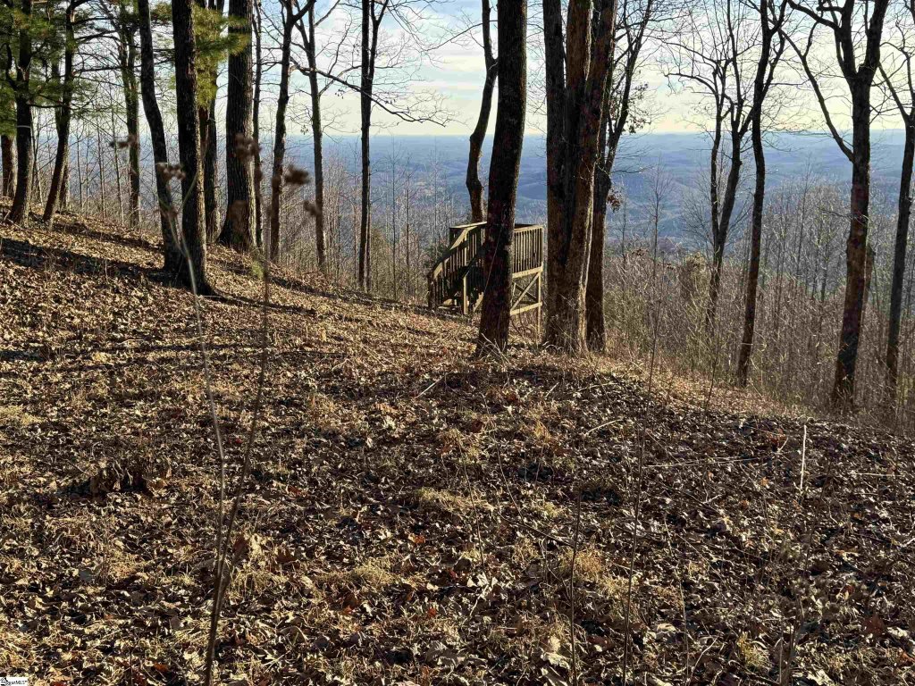 246 Bella Vista Court