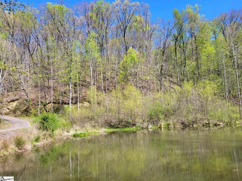 128 Glassy Falls Trail