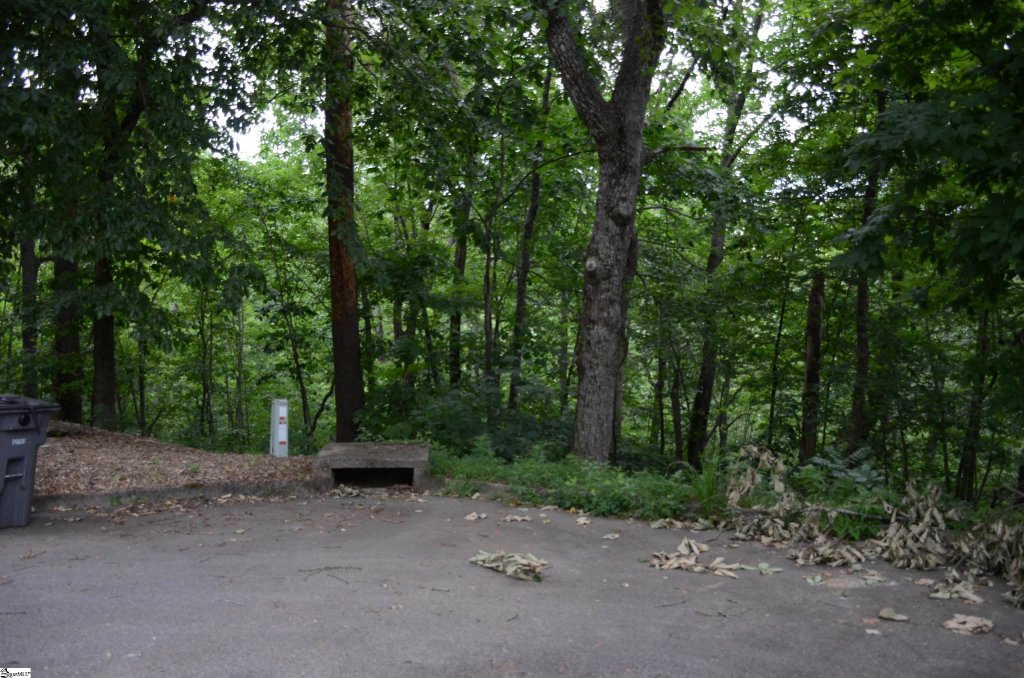 00 Altamont Forest Drive LOT 019