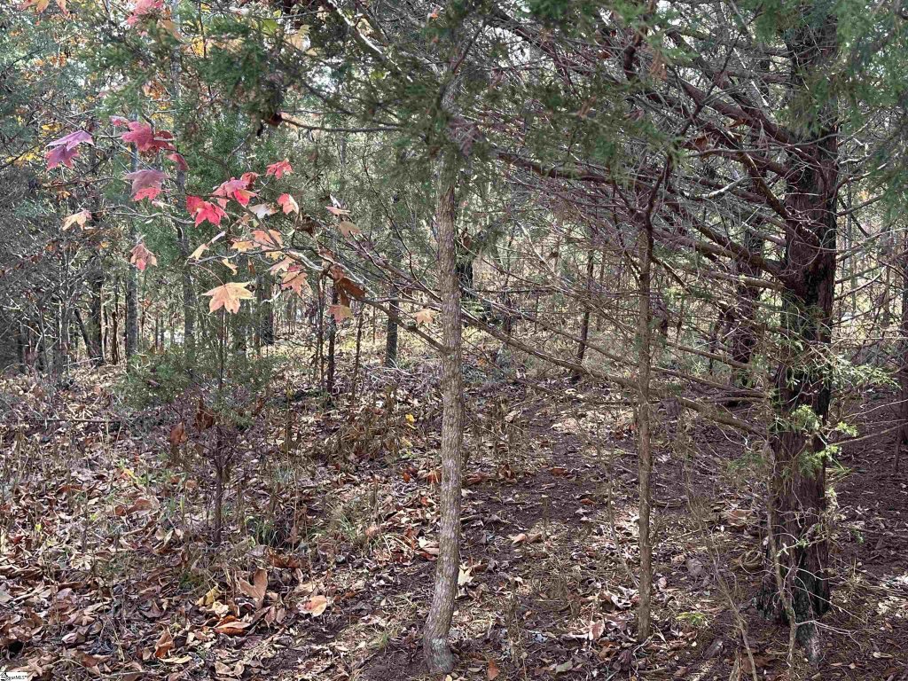 Lake Rabon Estates, Laurens community