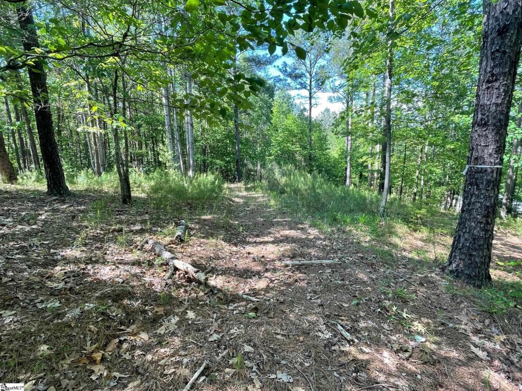 196 Creek Stone Court