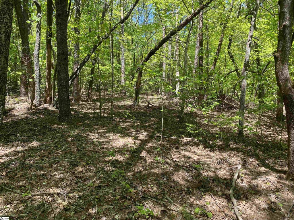 111 Bearpaw Trail