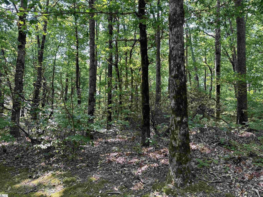 The Cliffs At Glassy, Landrum community