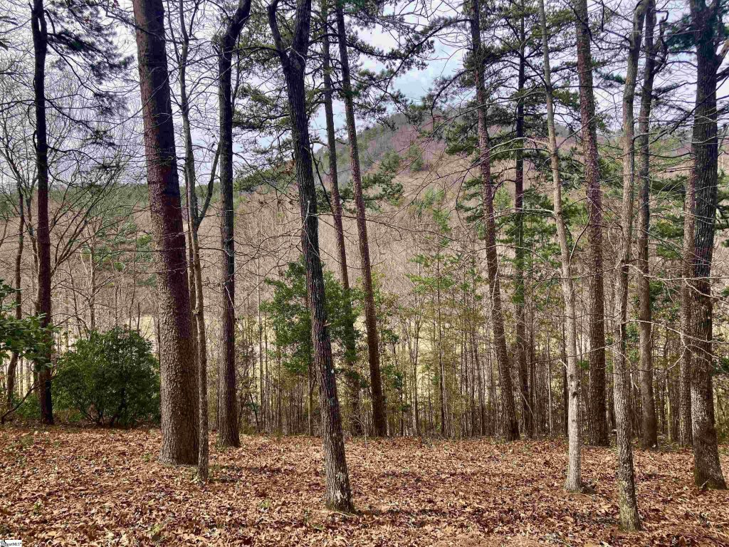 Augusta Links Trail Lot #45
