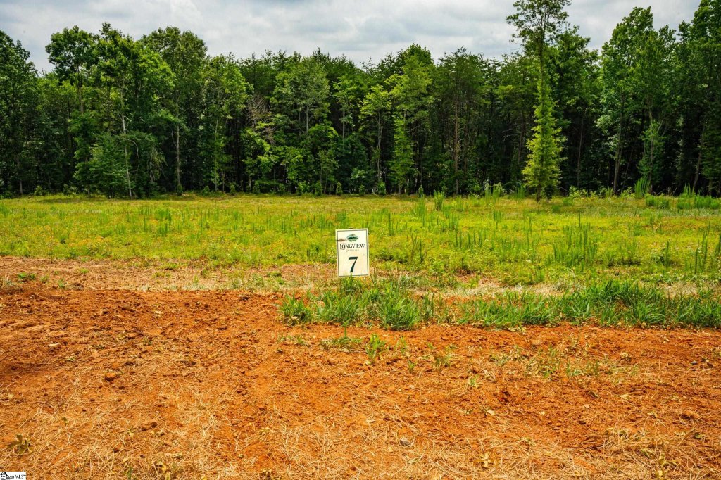 411 Longview Carolina Drive