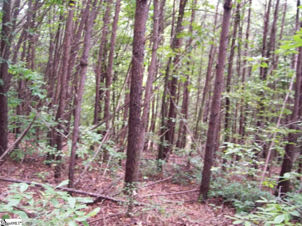 343 Gauley Falls Road Lot 87 Gauley Falls