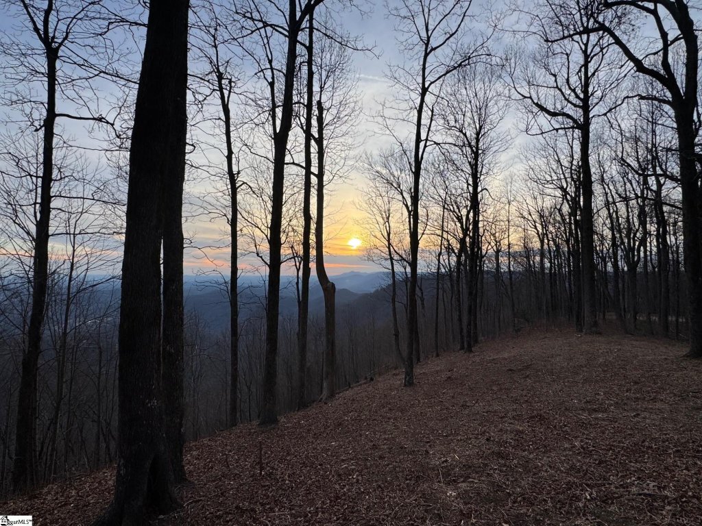 278 Bella Vista Court