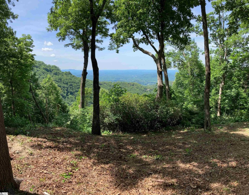 1399 Mountain Summit Road