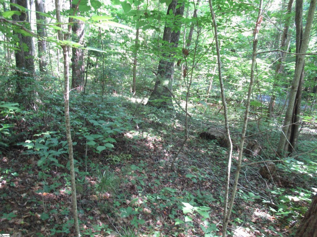 00 Gauley Falls Road Lot 13 Gauley Falls
