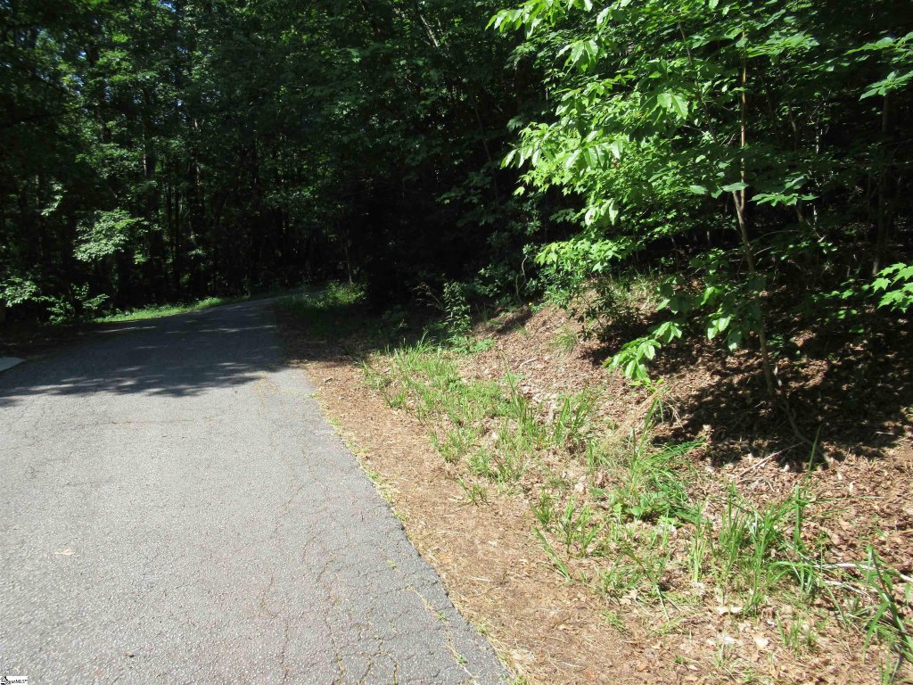 00 Gauley Falls Road Lot 15 Gauley Falls