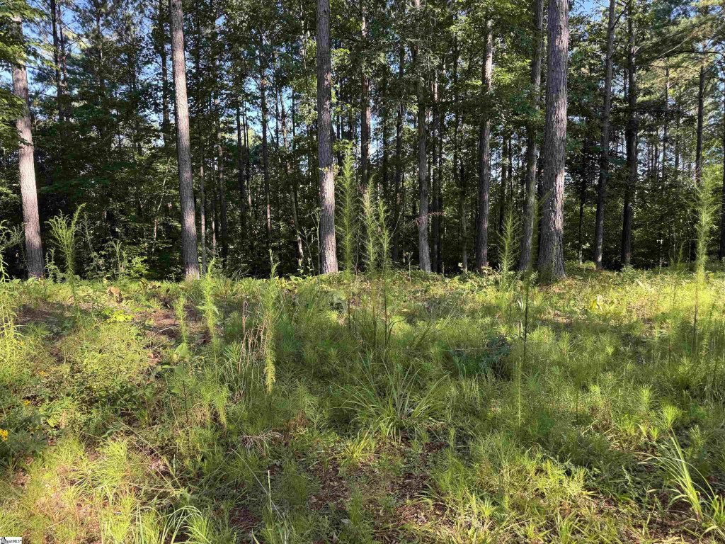 527 Brookgreen Trail