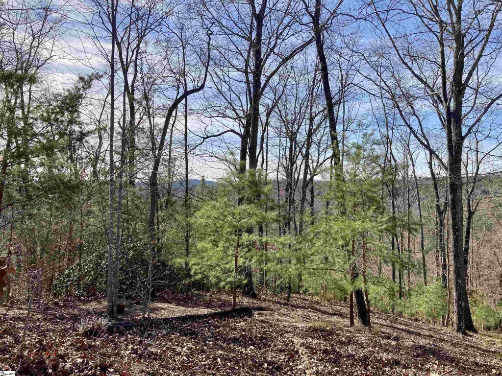 435 Augusta Links Trail